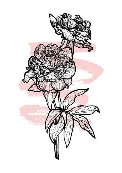 A4, A3, Şakayık çizgili çizgili el çizimi çizimi. Güzel ve zarif siyah ve pembe bahar çiçekli sanat baskısı. Çevrimiçi ve yazdırma için son derece detaylı ve yüksek kalitede grafik değeri.