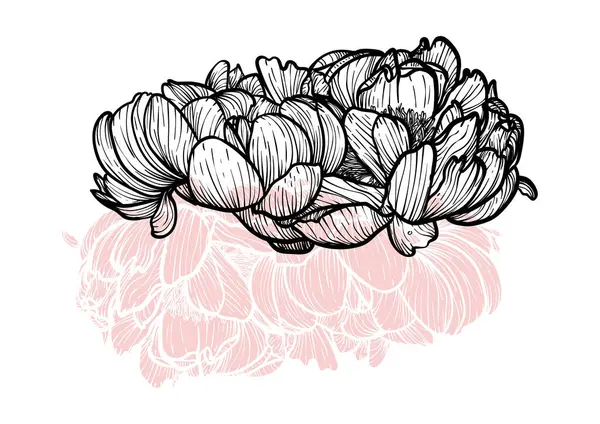 Şakayık çizgili sanat vektör eli çizimi. Güzel ve zarif siyah ve pembe bahar çiçekli sanat baskısı. Çevrimiçi ve yazdırma için son derece detaylı ve yüksek kalitede grafik değeri.