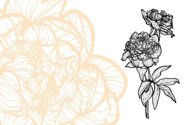 Şakayık çiçekleri, vektör formatı, el çizimi taslak. Düzenlemesi kolay, kullanıma hazır. Beyaz arkaplanda bir portakal ve siyah bir çiçek karışımı.. 