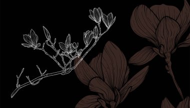 Manolya çiçekleri, vektör biçimi, elle çizilmiş ana hatlar. Düzenlemesi kolay, kullanıma hazır. Koyu bir bej ve beyaz bir bahar çiçeğinin karışımı.. 