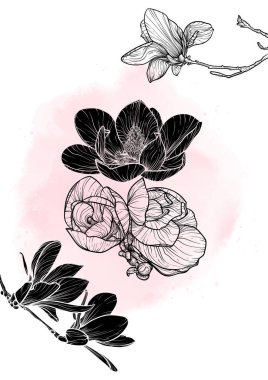 A4 manolya vektör el çizimi. Pembe suluboya serpiştirilmiş zarif siyah çiçekli sanat baskısı. Çevrimiçi ve yazdırma için son derece detaylı ve yüksek kalitede grafik değeri. 