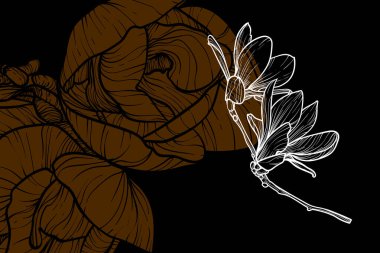 Manolya çiçekleri, vektör biçimi, elle çizilmiş ana hatlar. Düzenlemesi kolay, kullanıma hazır. Koyu sarı ile beyaz bahar çiçeğinin karışımı.. 