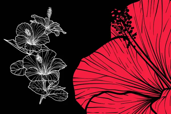 Hibiscus çiçekleri, vektör biçimi, elle çizilmiş taslak. Düzenlemesi kolay, kullanıma hazır. Siyah arka planda beyaz çiçek ve mercan karışımı bir şey.. 