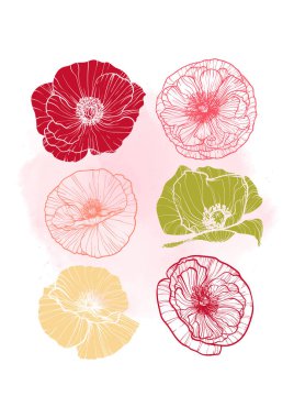 A4, A3, haşhaş buketi vektör el çizimi. Suluboya serpiştirilmiş zarif siyah çiçekli sanat baskısı. Çevrimiçi ve yazdırma için son derece detaylı ve yüksek kalitede grafik değeri. 