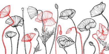 Kırmızı ve siyah çizgili gelincik çiçeği ve yaprak sanatıyla soyut çiçek arkaplanı. El yapımı haşhaş çiçekleri arka plan ve desen. Kart, pankart, davet ve paketlemenin vektör tasarımı