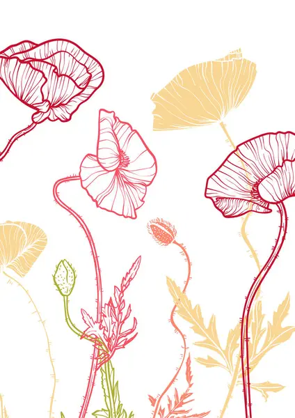 A4, A3, haşhaş buketi vektör el çizimi. Zarif çizgili sanat eserleri kırmızı ve sarı yaz çiçekleri. Çevrimiçi ve yazdırma için son derece detaylı ve yüksek kalitede grafik değeri. 