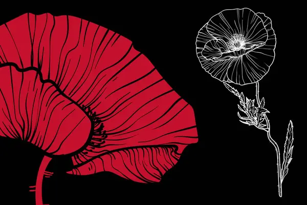 Haşhaş çiçekleri, vektör biçimi, elle çizilmiş taslak. Düzenlemesi kolay, kullanıma hazır. Siyah arkaplanda sarı ve beyaz bir çiçek karışımı.. 