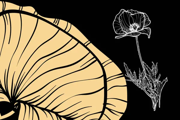 Haşhaş çiçekleri, vektör biçimi, elle çizilmiş taslak. Düzenlemesi kolay, kullanıma hazır. Siyah arkaplanda sarı ve beyaz bir çiçek karışımı.. 