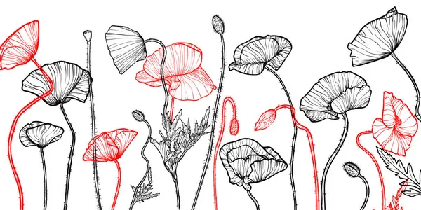 Kırmızı ve siyah çizgili gelincik çiçeği ve yaprak sanatıyla soyut çiçek arkaplanı. El yapımı haşhaş çiçekleri arka plan ve desen. Kart, pankart, davet ve paketlemenin vektör tasarımı