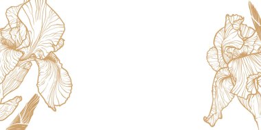 Altın çizgili süsen çiçekli soyut bir arka plan. Çiçek çerçeveli el yapımı iris pankartı, sınır. Kart, pankart, davetiye, reklam ve paketlemenin vektör tasarımı