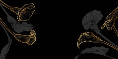 Kalla zambağı çiçekleri ve yaprakları olan lüks bir çiçek arka planı. El yapımı altın kalla çerçeve ve sınır. Kart, pankart, davetiye, reklam ve paketlemenin vektör tasarımı