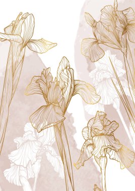 Vektör eli çizilmiş A4 sanat baskısı. İris çiçekleri çizimi. Bej bir suluboya serpiştirilmiş zarif altın çiçekler. Çevrimiçi ve yazdırma, paketleme için son derece detaylı ve yüksek kalitede grafik değeri.