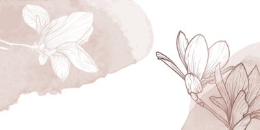 Çiçek ve yaprak çizgisi olan soyut çiçek arkaplanı. El yapımı bej manolya suluboya çerçeve, sınır. Kart, pankart, davetiye, reklam ve paketlemenin vektör tasarımı