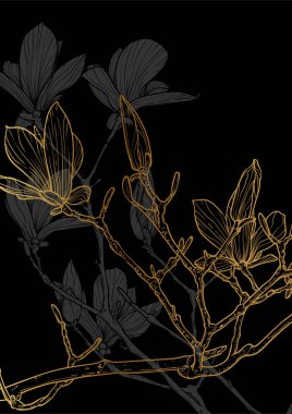 A4 manolya altın çizgili el çizimi çizimi. Siyah ve altın manolya bahar çiçekleriyle süslü lüks sanat baskısı. Çevrimiçi ve yazdırma için son derece detaylı ve yüksek kalitede grafik değeri.