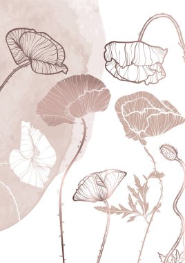 A4, A3, haşhaş buketi vektör el çizimi. Zarif çizgili sanat eserleri kırmızı ve sarı yaz çiçekleri. Çevrimiçi ve yazdırma için son derece detaylı ve yüksek kalitede grafik değeri. 