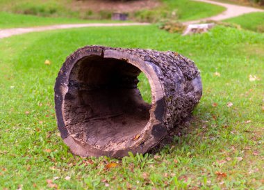 Hollow Log on Grassy Path  clipart