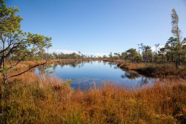 Huzurlu Sonbahar Manzarası Huzurlu Göl ve Mavi Gökyüzü