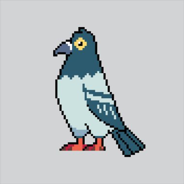 Resim güvercini pikseli. Pixelated Pigeon. Güvercin Kuşu piksel resim oyunu için piksellendi ve web sitesi ve video oyunu için simge oluşturuldu. Eski okul retro.