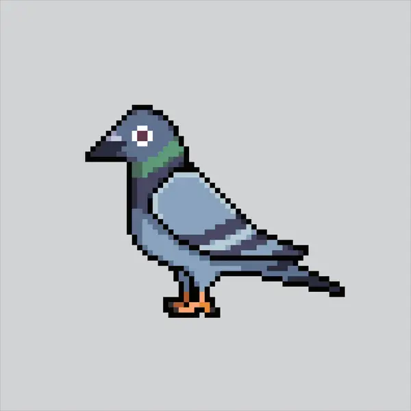 Resim güvercini pikseli. Pixelated Pigeon. Güvercin güvercin piksel resim oyunu için piksellendi ve web sitesi ve video oyunu için simge oluşturuldu. Eski okul retro.