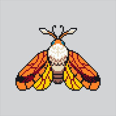 Piksel Resim Güvesi. Pikselleşmiş Kelebek Güvesi. Güve Kelebeği Böceği Simgesi piksel resim oyunu için piksellendi ve web sitesi ve video oyunu için simge oluşturuldu. Eski okul retro.
