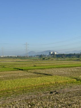 Güzel bir dağ arkaplanı olan çiftliğin manzarası