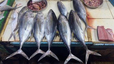 Market Stall 'da Taze Ton Balığı Gösterimi