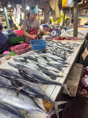 Taze deniz ürünleri pazarı Ton balığı ve uskumru ile görüntüleme
