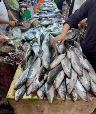 Taze Balık Pazarı Bol Deniz Ürünleri Seçimi