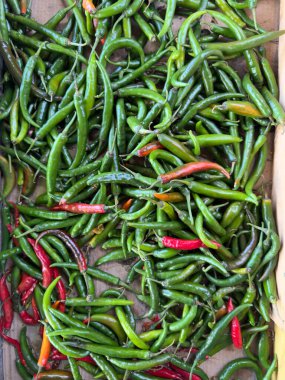 Yeşil ve Kırmızı Biberler Kutuda