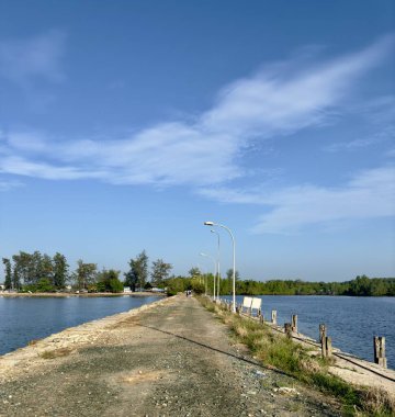Serene Sahil Yolu Mavi Gökyüzü ve yemyeşil