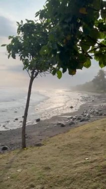 Sisli Şafak Sahili Serin Okyanus Dalgaları, Rocky Shore, Yeşillik