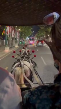 Gece At Arabası Sürüşü, Şehir Sokağı, Şık Dekor. Malioboro Endonezya