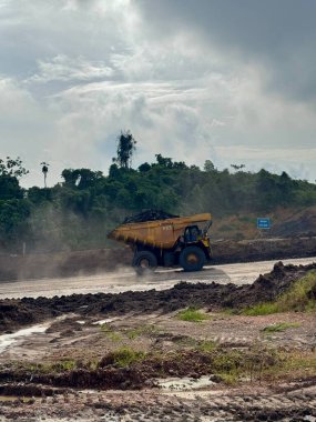 Büyük bir maden kamyonu kömür taşır çamurlu bir arazide bulutlu bir gökyüzü altında yemyeşil bir orman yakınında ağır sanayi ve çevresel etkiyi gösteren.