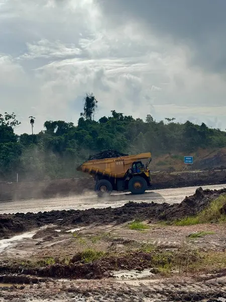 Büyük bir maden kamyonu kömür taşır çamurlu bir arazide bulutlu bir gökyüzü altında yemyeşil bir orman yakınında ağır sanayi ve çevresel etkiyi gösteren.