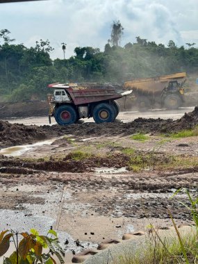 Güçlü madencilik damperli kamyonları verimli yeşil bir orman zemininde gün ışığında toprak ve kömür taşıyarak endüstriyel güç ve çevresel etkiyi gösteriyor..