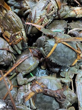 Taze Yakalanmış Yengeç Yığını Yüksek Piyasa Ürünleri Okyanus Hasatını Enfes Kabuklu Deniz Yaşamı