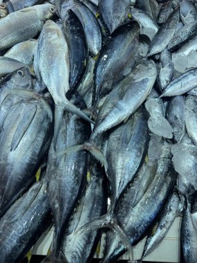 Pazarda bir sürü parlak gümüş balık yığını. Satılık taze deniz ürünleri hasadı. Yüksek kaliteli yemek dokusu..