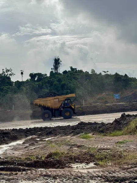 Büyük bir maden kamyonu, endüstriyel toprak taşıma operasyonlarını ve çevresel etkileri gösteren yemyeşil bir ormanın yakınındaki bulutlu bir gökyüzü altında çamurlu bir arazide kömür taşıyor..