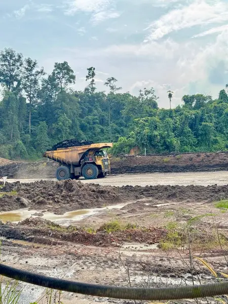 Ağır yük taşıyan maden kamyonu, parçalı bulutlu bir gökyüzü altında yemyeşil tropikal yağmur ormanlarıyla çevrili geniş bir kazı alanından kömür taşıyor..