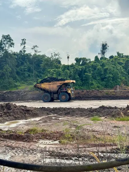 Büyük sarı bir maden nakliye kamyonu, ağır sanayi ve çevresel etki gösteren parçalı bulutlu bir gökyüzü altında yemyeşil bir bitki örtüsüne karşı çamurlu bir arazide kömür taşıyor..