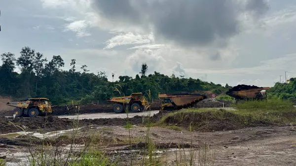 Endüstriyel toprak taşıma ekipmanları ve çevresel etkiyi gösteren gündüz vakti bir orman açıklığı yakınlarındaki yemyeşil alanda ağır makineler çalışır..
