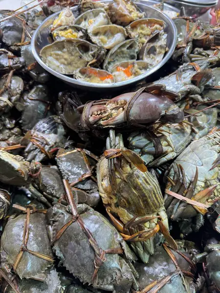 Taze Deniz Ürünleri Yengeçleri Bol İstiridye Yakala Okyanus Lezzetleri Lezzetli Gurme Yemekler Deniz Ürünleri Deniz Hayatı
