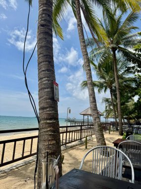 Huzurlu Sahil Restoranı Görünümü Palmiye Ağaçları Okyanus Kumu Huzurlu Tatil Cenneti Tropikal Kaçış Rahatlığı