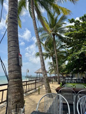 Sallanan palmiye ağaçlarının olduğu tropik sahil manzaralı restoran manzarası okyanus manzarası ve açık hava koltukları rahatlatıcı bir kaçış deneyimi sunuyor.