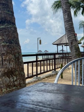 Huzurlu sahil restoranı manzarası Palmiye ağaçları okyanus esintisi kumsal tropikal tatil cenneti