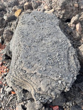 Gri Kaya Dokusunun Kapanması Taş Yüzey Ayrıntılarını Gösteriyor