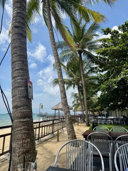 Sallanan palmiye ağaçlarının olduğu tropik sahil manzaralı restoran manzarası okyanus manzarası ve açık hava koltukları rahatlatıcı bir kaçış deneyimi sunuyor.