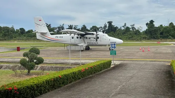 Yeşillik bitki örtüsü ve düzgünce budanmış çalılarla çevrili tropik bir havaalanı pistine park edilmiş bir uçak..