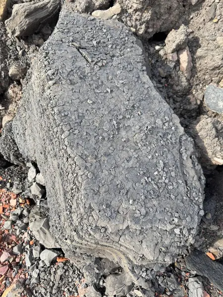 Koyu Gri Volkanik Kaya Dokusunu Kapatma Ayrıntıları Bol Doğal Taş Arkaplanı