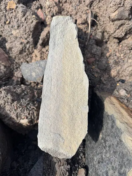 Açık gri düz bir taş, peyzaj projeleri veya bahçe tasarımları için mükemmel Karanlık Toprak zeminine dayanır..